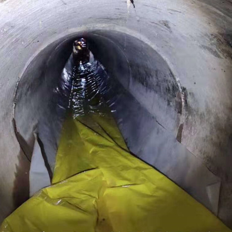 鹤峰管道光固化修复